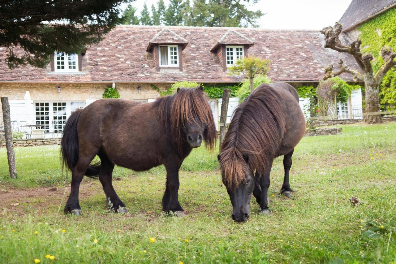 La Metairie - Teritoria- Les Collectionneurs Mauzac-et-Grand-Castang